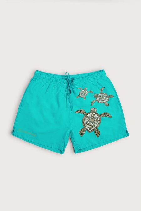 Sea Turtle