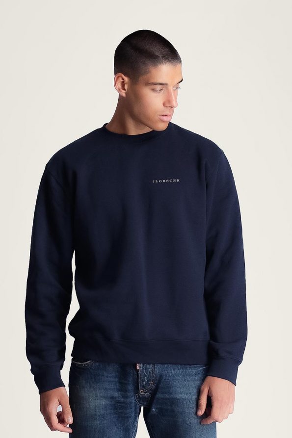 pullover_m_bl_d-1060beFRONT