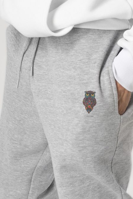Wise Owl
