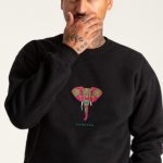 Spiritual Elephant