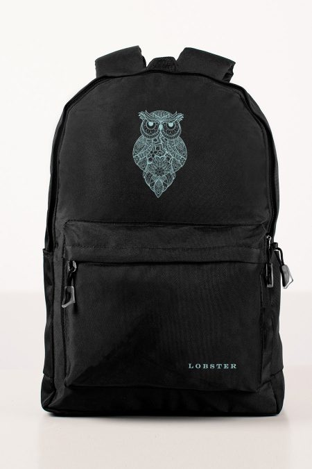 Owl from the Ocean