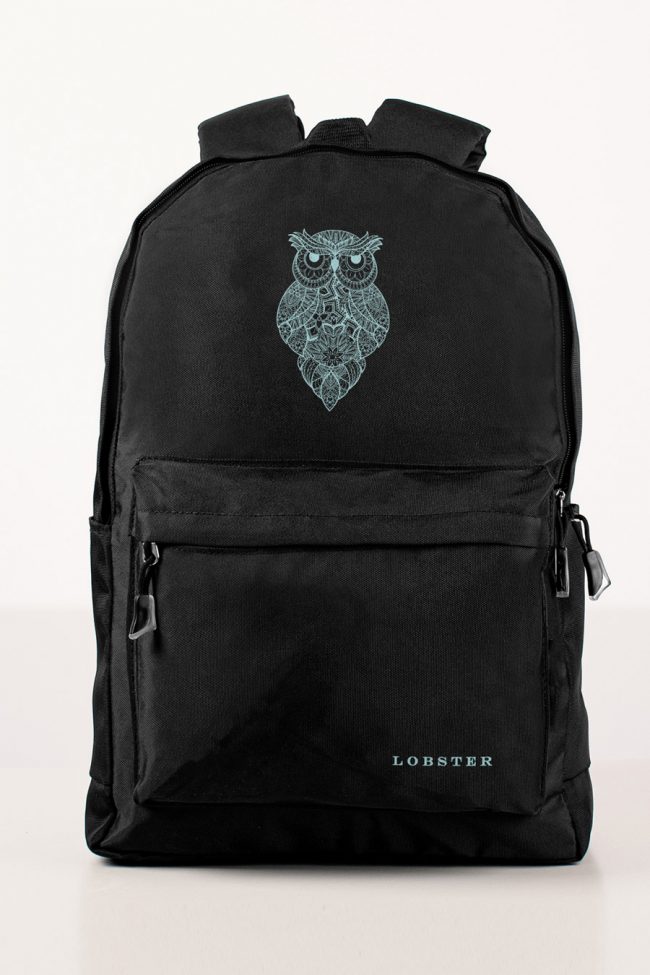 Owl from the Ocean