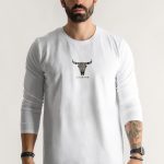 Buffalo from Egypt
