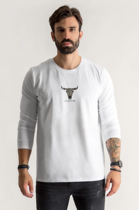 Buffalo from Egypt