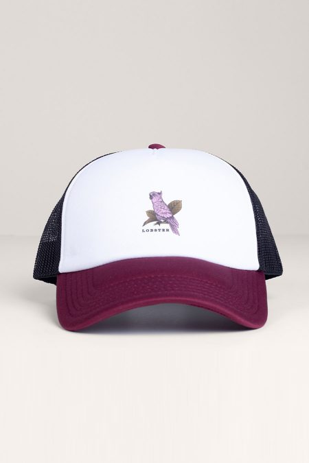 Pink Parrot