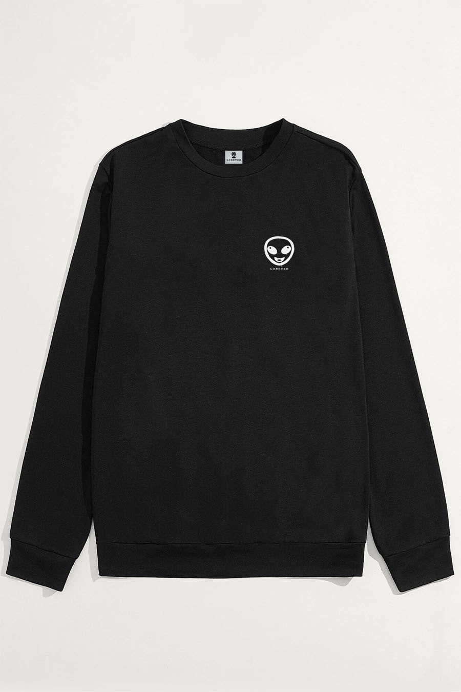 sweatshirt-flat-lay-bb-black-9007