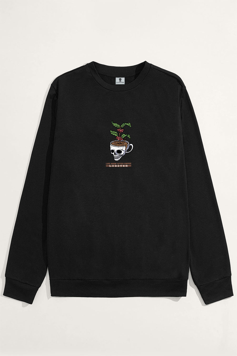 sweatshirt-flat-lay-bb-black-9010
