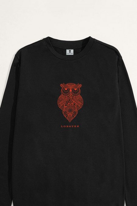 Owl from Volcano