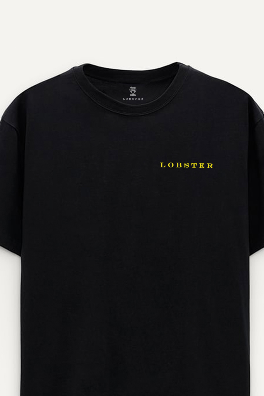 t-shirt-boxy-crop1-black_front-isolated-0237