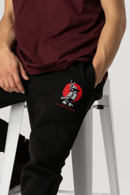 Rise of the Samurai