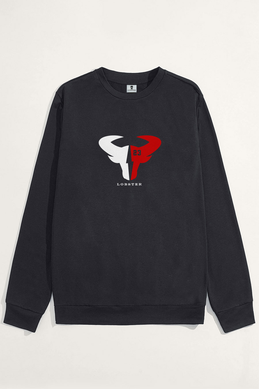 full-sweatshirt-flat-lay-bc-iron-grey-5573