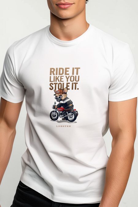 Ride It Like You Stole It