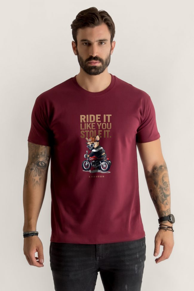 Ride It Like You Stole It