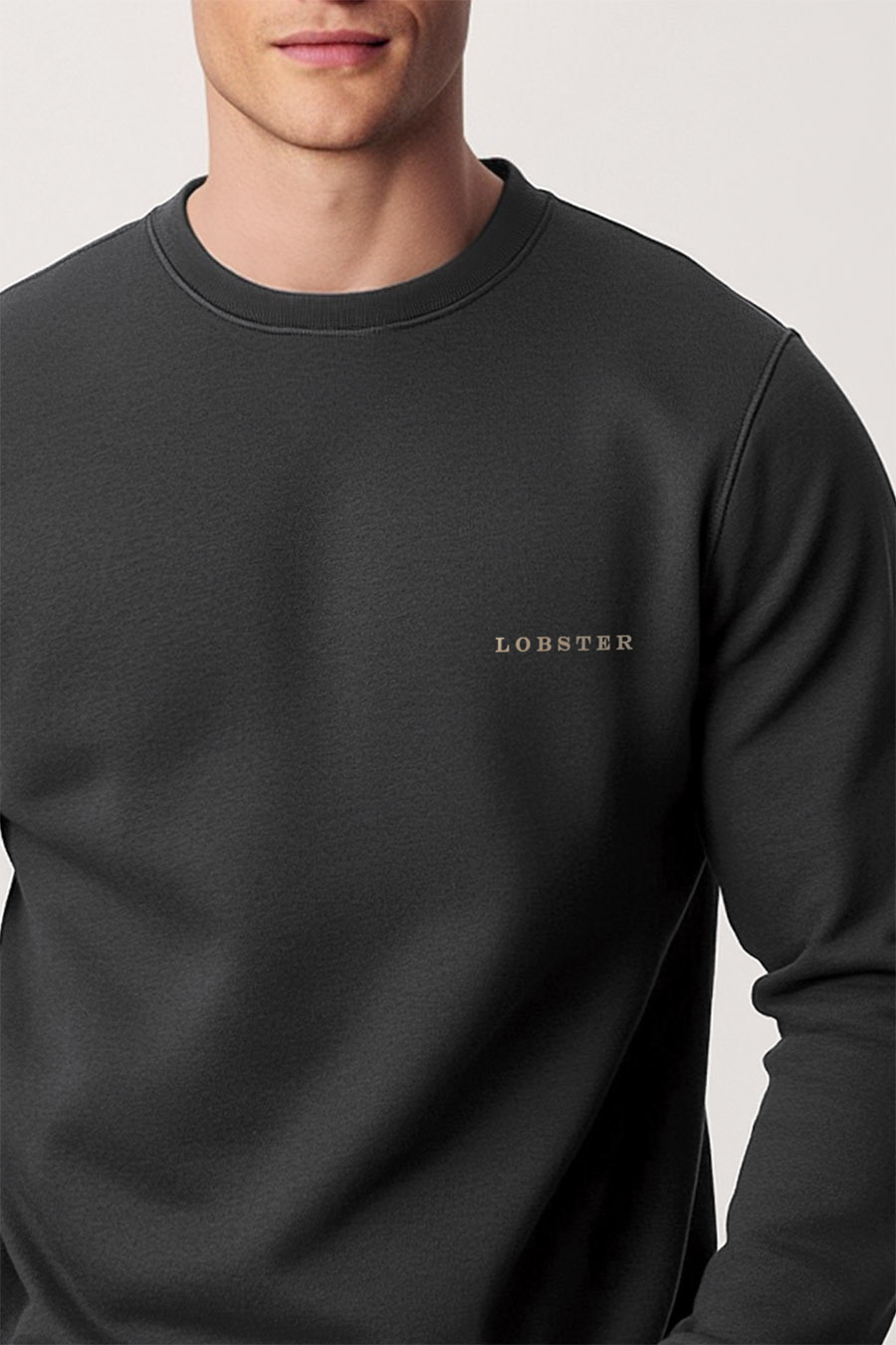 sweatshirt-man-a-g10-front-zoom3-iron-gray-4373