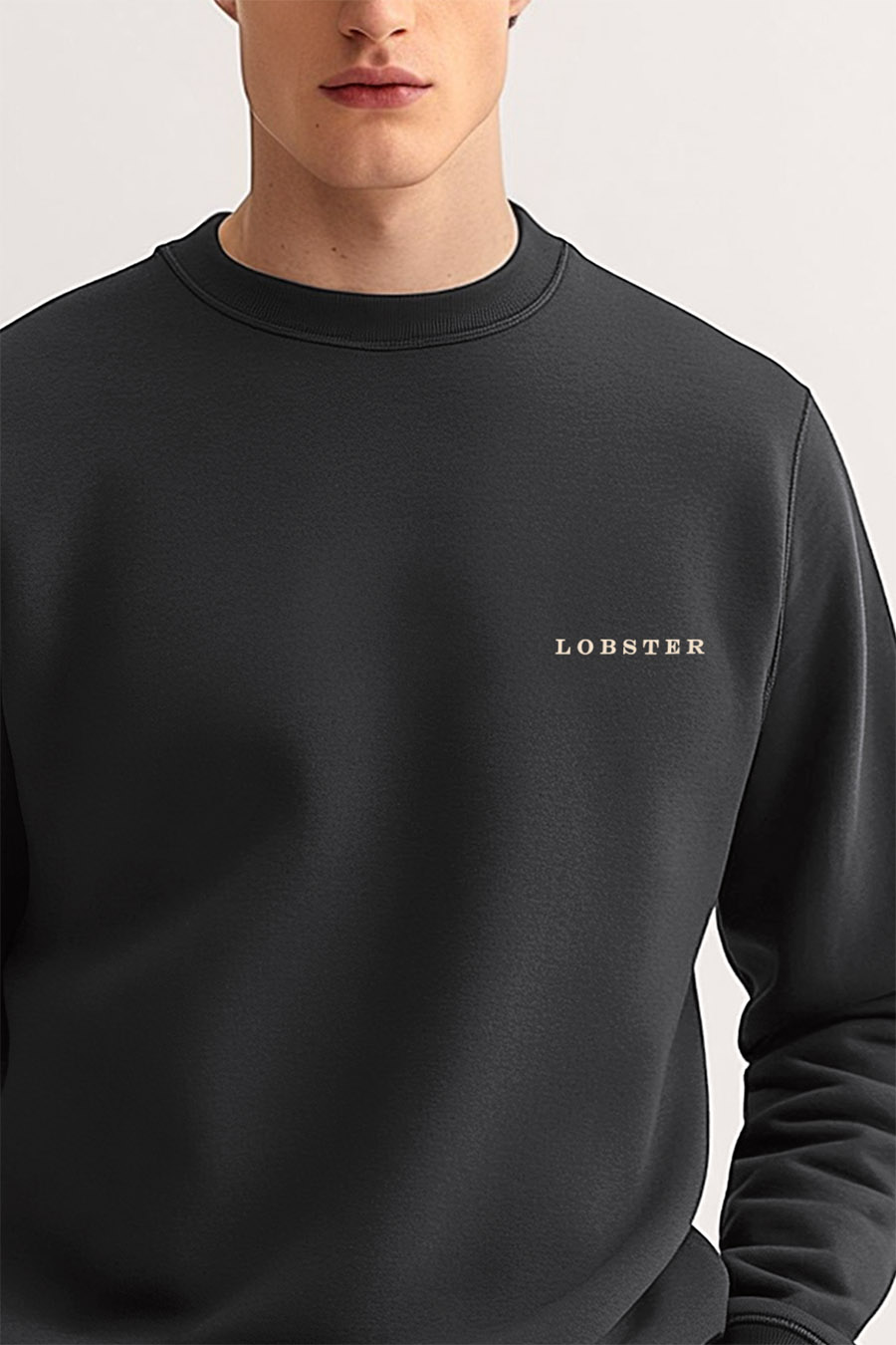 sweatshirt-man-a-g12-front-zoom3-iron-gray-4373