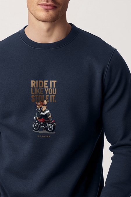 Ride It Like You Stole It