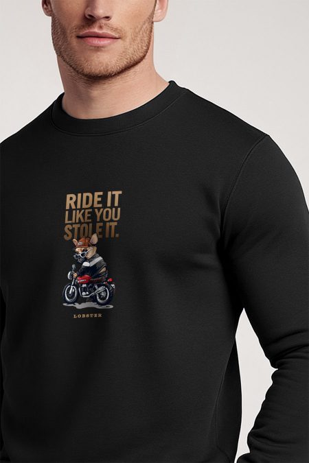 Ride It Like You Stole It
