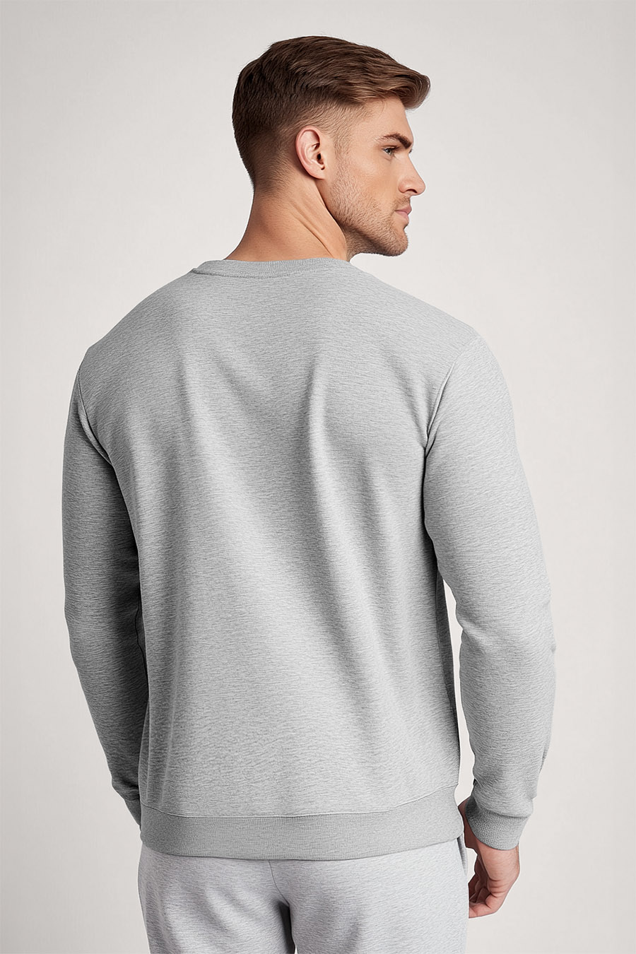 sweatshirt-man-a-g22-back-zoom1-grey-4373