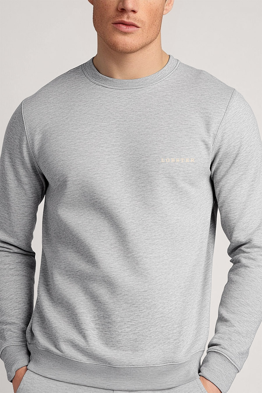 sweatshirt-man-a-g22-front-zoom2-grey-4373