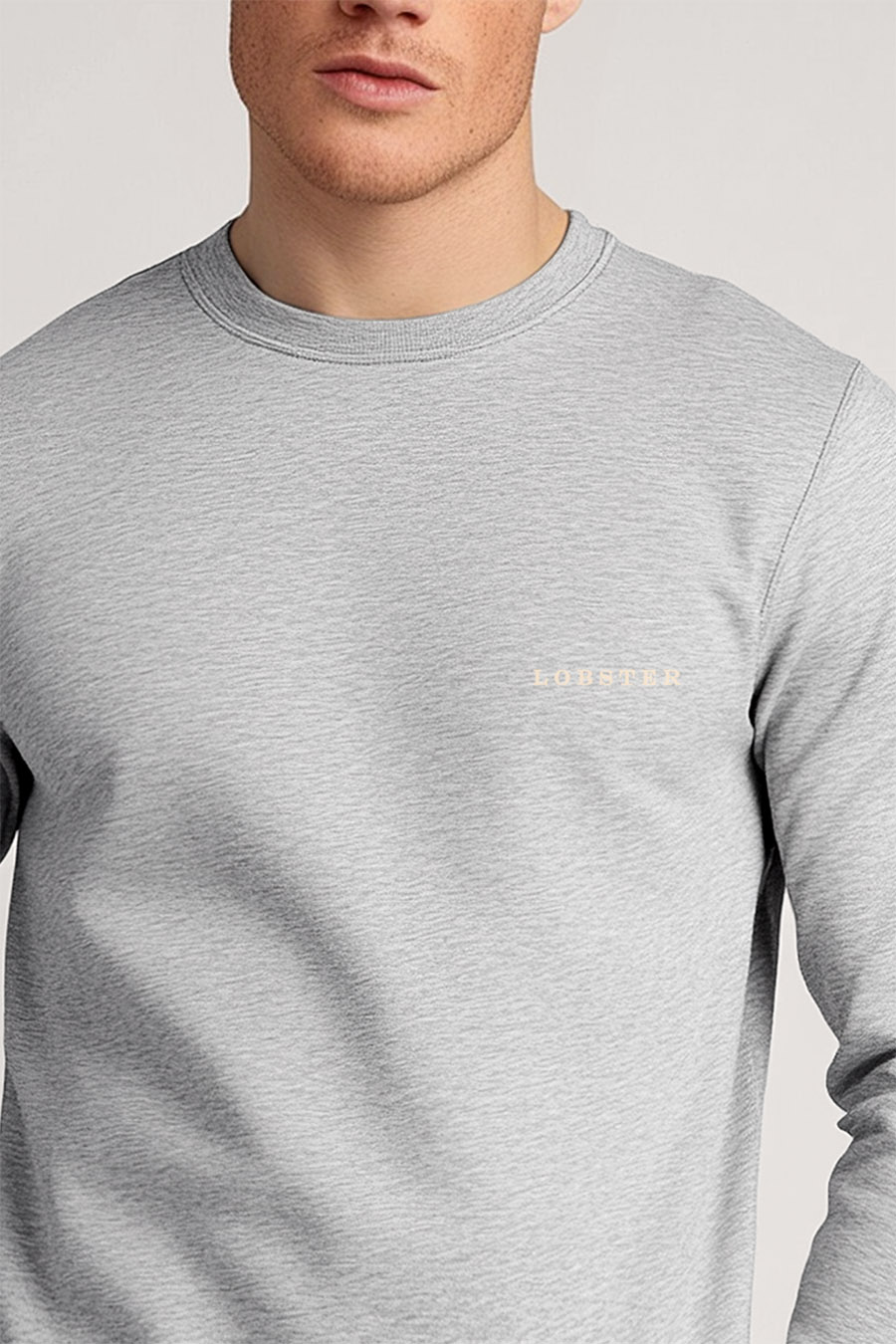 sweatshirt-man-a-g22-front-zoom3-grey-4373