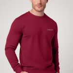 sweatshirt-man-a-g6-front-zoom3-burgundy-4373