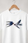 Swallows
