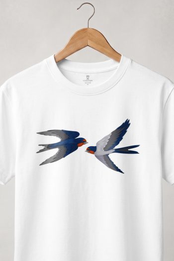 Swallows
